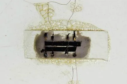 Microchip ce este