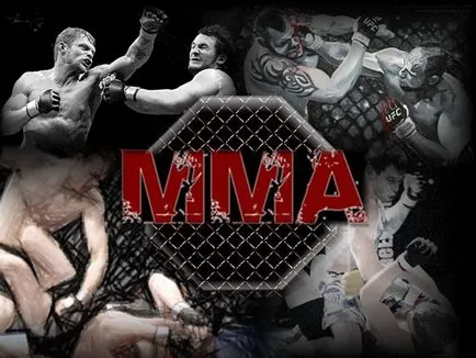 MMA combate