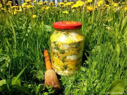 Ca păpădii comentarii