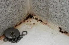 În ceea ce privește numele germane
