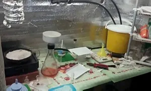 Ca medicamente fabricate