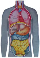 Forma închisă a tuberculozei, care este