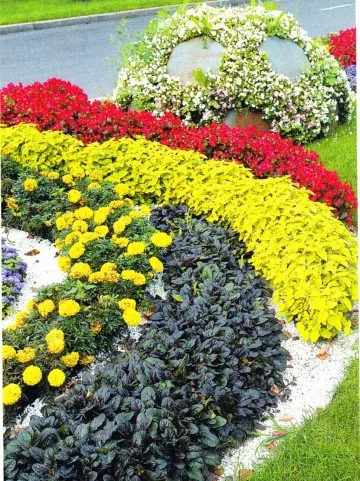 Paturi de design și paturi de flori Paturi de design și paturi de flori
