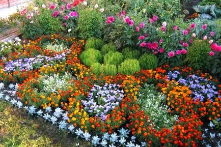 Paturi de design și paturi de flori Paturi de design și paturi de flori