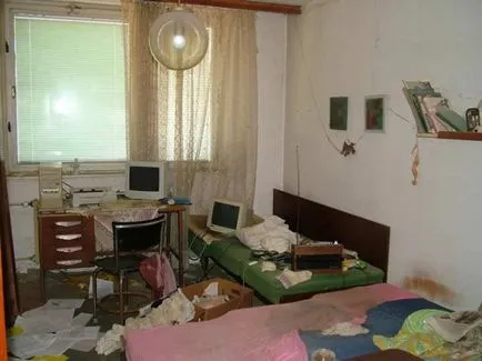Ce apar purici Ce apar purici