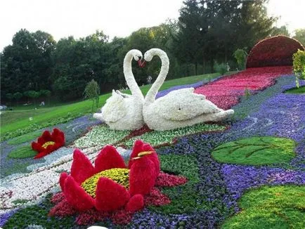 Paturi de design și paturi de flori Paturi de design și paturi de flori