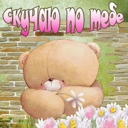Poze tot ce era