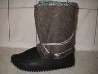 Care este bandulieră
