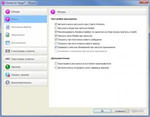 Pamela pentru Skype ea