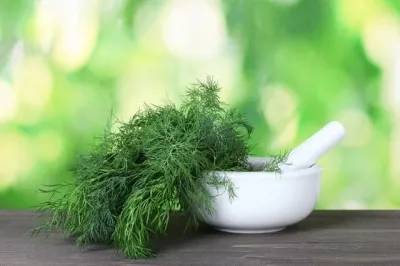 tratament pancreatită la domiciliu