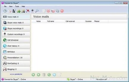Pamela pentru Skype ea