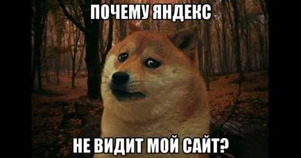 De ce nu-mi vezi
