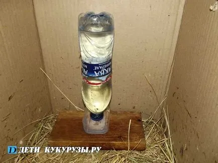 Nu jgheab pentru pui cu mâinile lor Nu jgheab pentru pui cu mâinile lor
