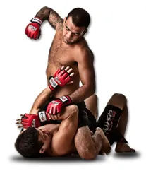 MMA combate MMA combate