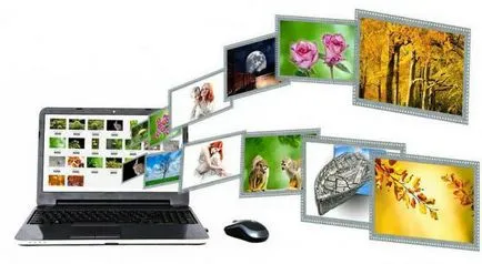 portal de site-ul care este portal de site-ul care este