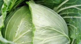 Acest lucru se referă la carbohidrați care produsele