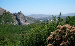 Ce este un serpentine Ce este un serpentine