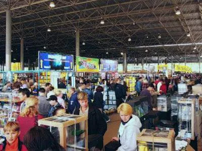 Ceea ce este în piața cărnii de pasăre Ceea ce este în piața cărnii de pasăre