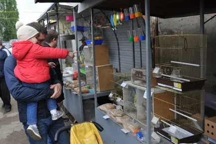Ceea ce este în piața cărnii de pasăre