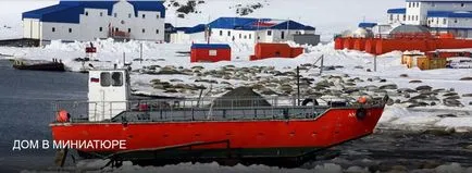 Cum de a trăi pe Antarctica Cum de a trăi pe Antarctica
