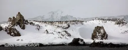 Cum de a trăi pe Antarctica Cum de a trăi pe Antarctica