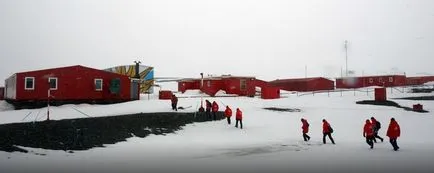 Cum de a trăi pe Antarctica Cum de a trăi pe Antarctica