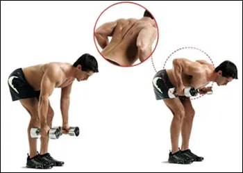 Cum de a construi musculare la domiciliu Cum de a construi musculare la domiciliu