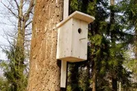 Birdhouse cu desenul lor mâini