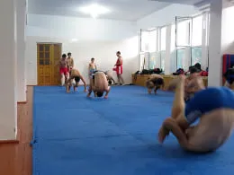 Cum de a dezvolta aparatul vestibular Cum de a dezvolta aparatul vestibular