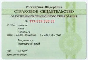 Cum de a verifica snils prin Internet