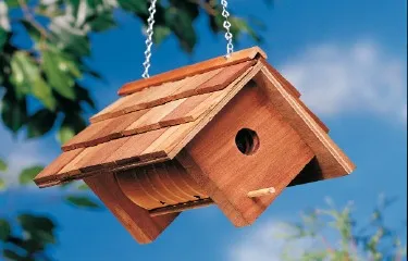 Birdhouse cu desenul lor mâini