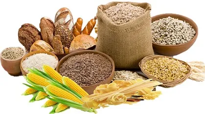 Acest lucru se referă la carbohidrați care produsele Acest lucru se referă la carbohidrați care produsele