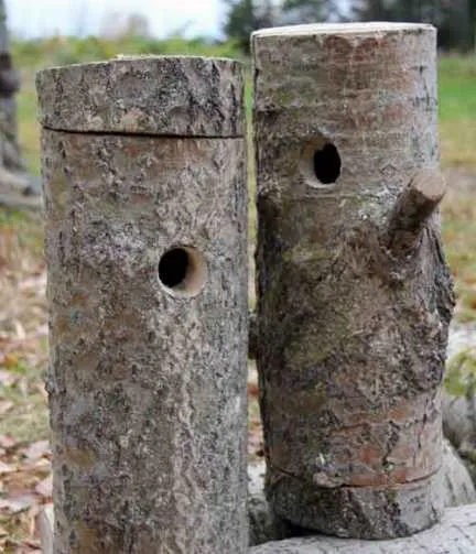 Birdhouse cu desenul lor mâini