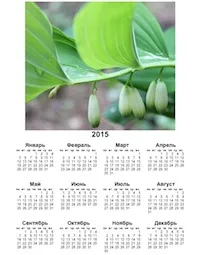Cum se imprimă calendarul