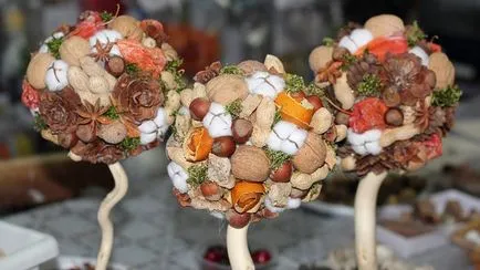 master-class de fructe master-class de fructe