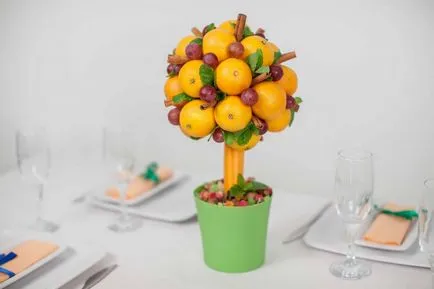 master-class de fructe master-class de fructe