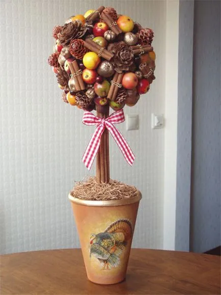 master-class de fructe master-class de fructe