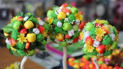 master-class de fructe master-class de fructe