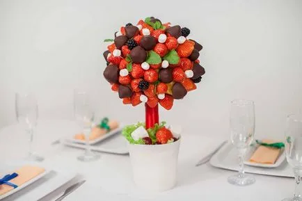 master-class de fructe master-class de fructe