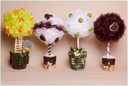 master-class de fructe master-class de fructe