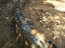 Construirea unui zid de sprijin Construirea unui zid de sprijin