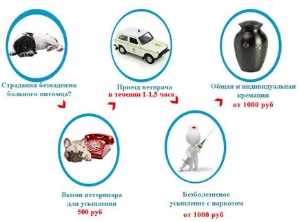 S-au eutanasiat câinele la domiciliu