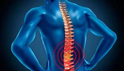 Vertebrology-l Vertebrology-l