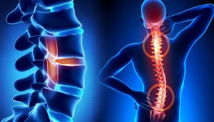 Vertebrology-l Vertebrology-l