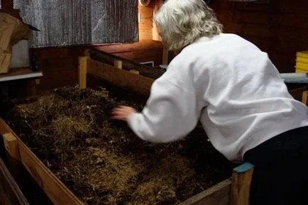 Cum să se înmulțească în casa de viermi