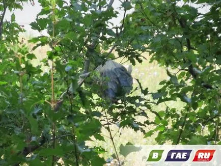 Ce-i arunca de la balcon