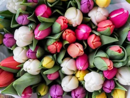 Buchet cu lalele Buchet cu lalele