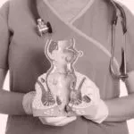 hemoroizi inflamati care fac hemoroizi inflamati care fac