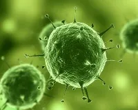 HPV la barbati HPV la barbati