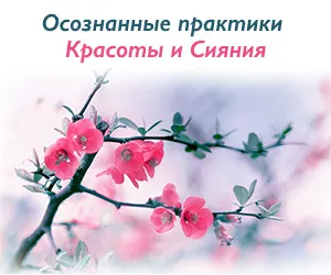 Care sunt micronutrienti Care sunt micronutrienti